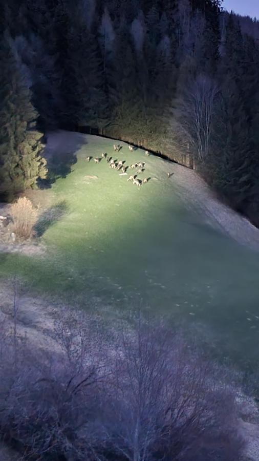 Ferienwohnungen Rabensteiner Bad Kleinkirchheim Exteriör bild