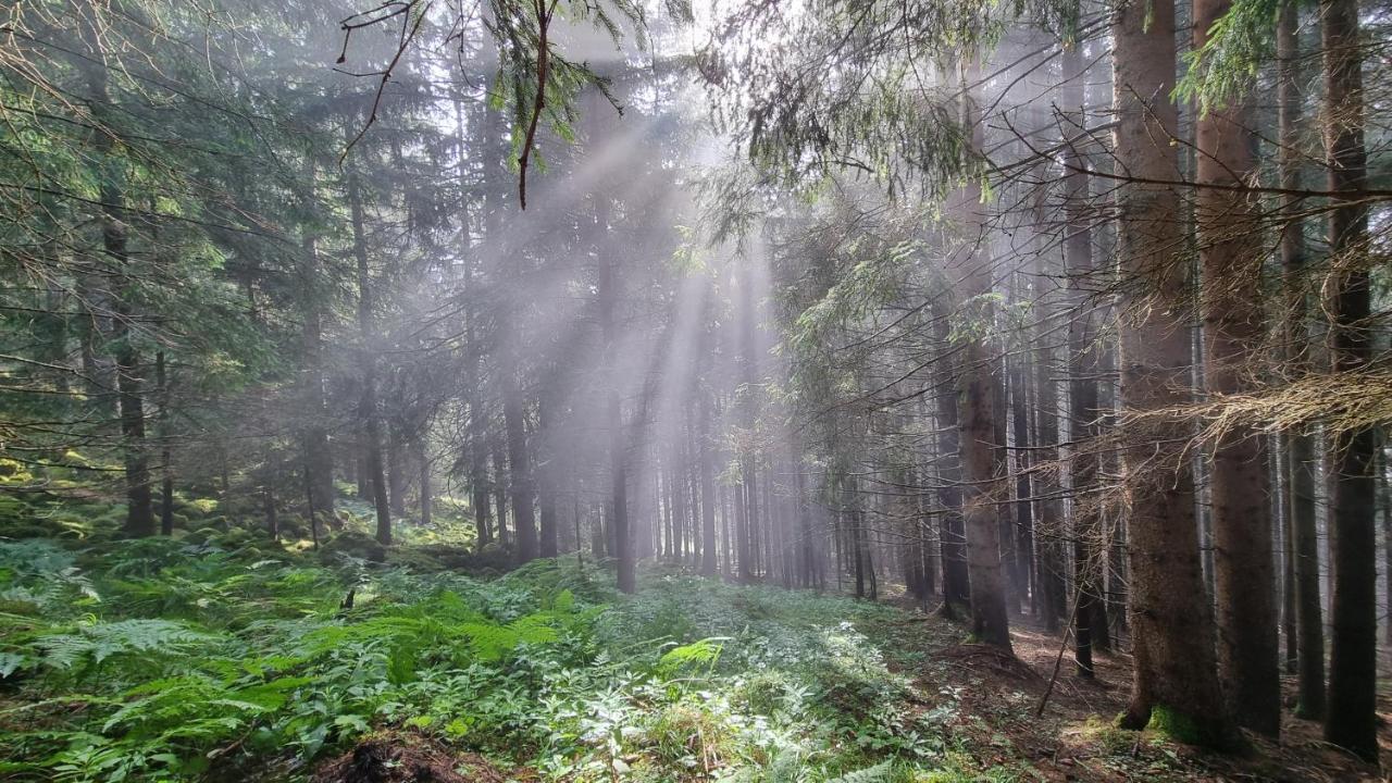 Ferienwohnungen Rabensteiner Bad Kleinkirchheim Exteriör bild