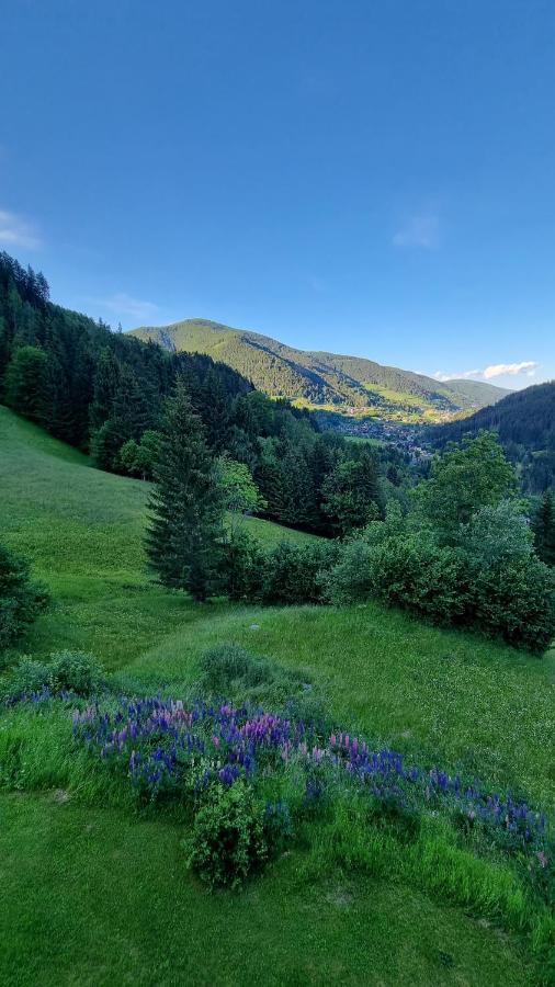 Ferienwohnungen Rabensteiner Bad Kleinkirchheim Exteriör bild
